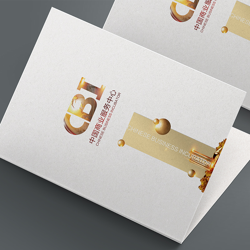 CBI中國商業(yè)服務(wù)中心-北京 VI應用